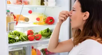 Dikkat! Bu Hata Yemekleri Bakteri Yuvasına Dönüştürebilir